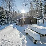 In Woergl Near Skiwelt Wilder Kaiser 木屋 Worgler Boden